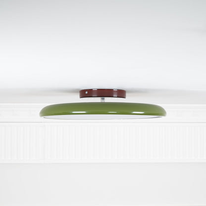Adjustable Round Brown Beige Green LED Ceiling Light