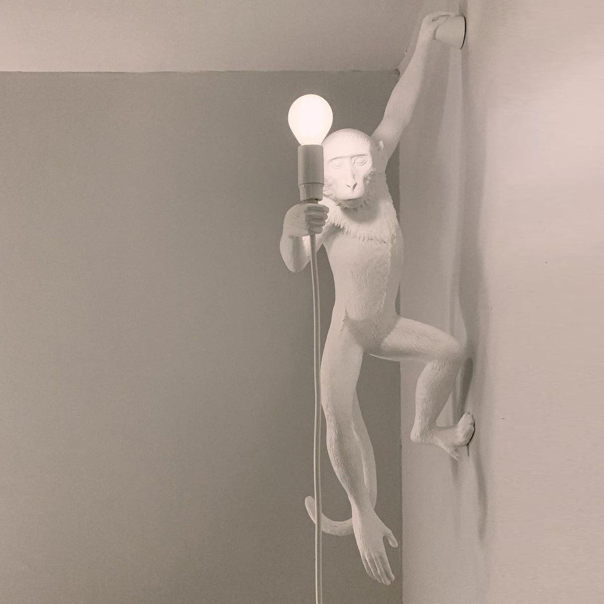 Monkey Wall Lamp Wall lamp