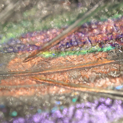 Dichroic Feather Gold Silver Glass Wall Sconce