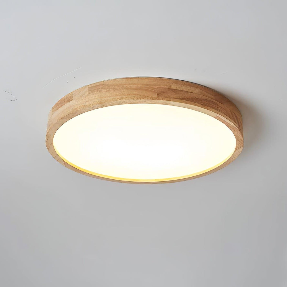 Moduwood Acrylic LED Ceiling Light
