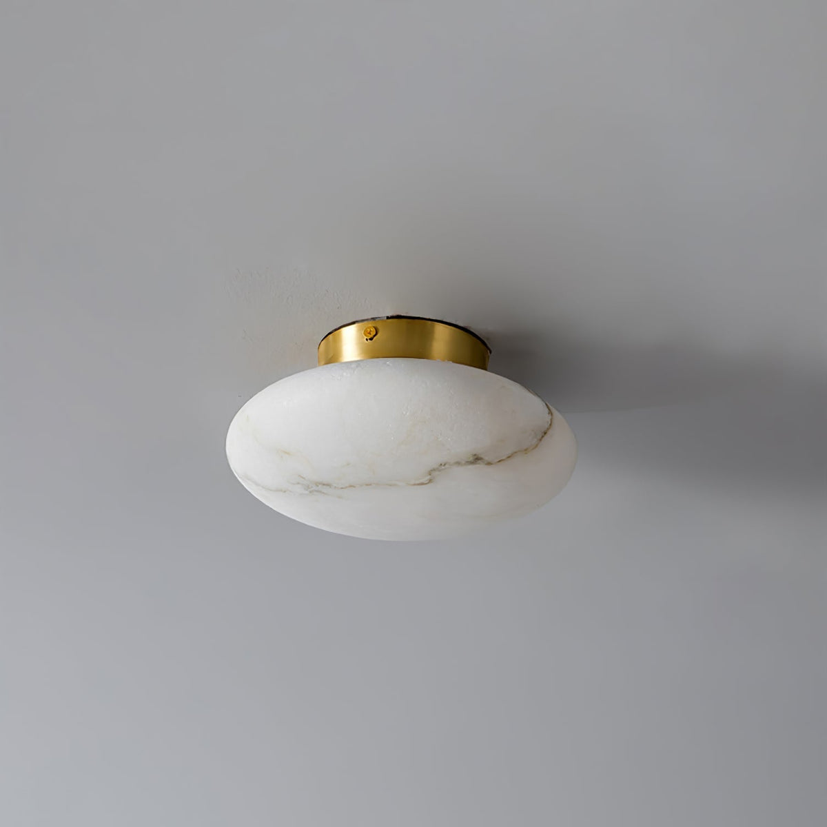 Smooth Alabaster Brass Black LED Ceiling Light