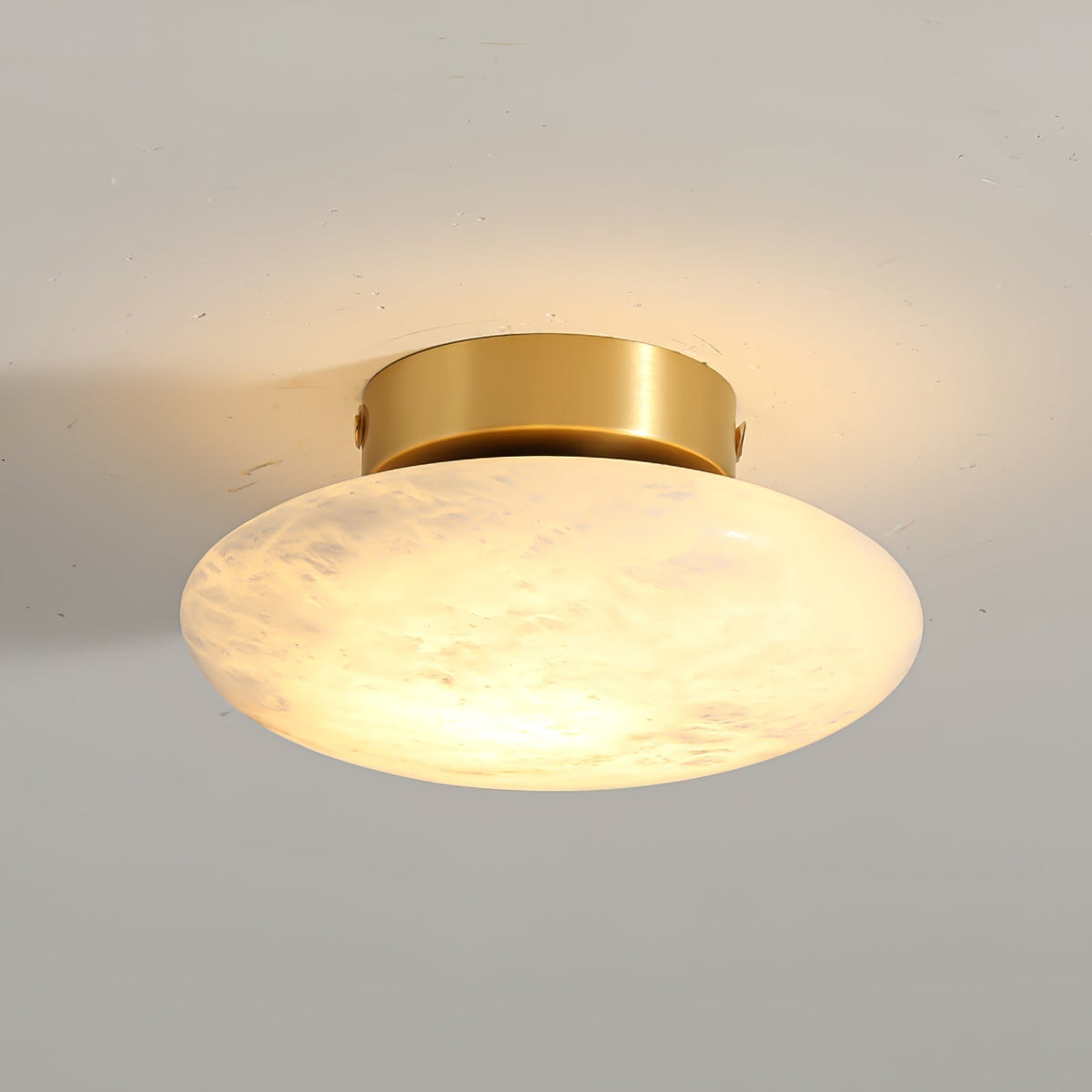 Smooth Alabaster Brass Black LED Ceiling Light