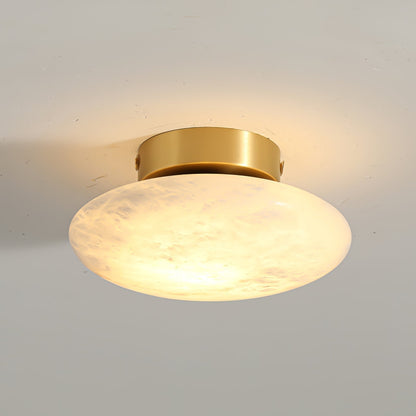 Smooth Alabaster Brass Black LED Ceiling Light